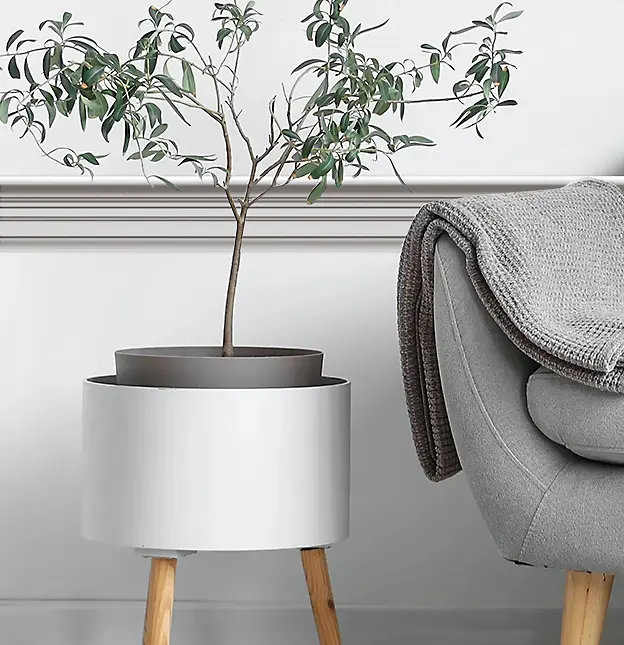 Home Mega Nav Dado Rail